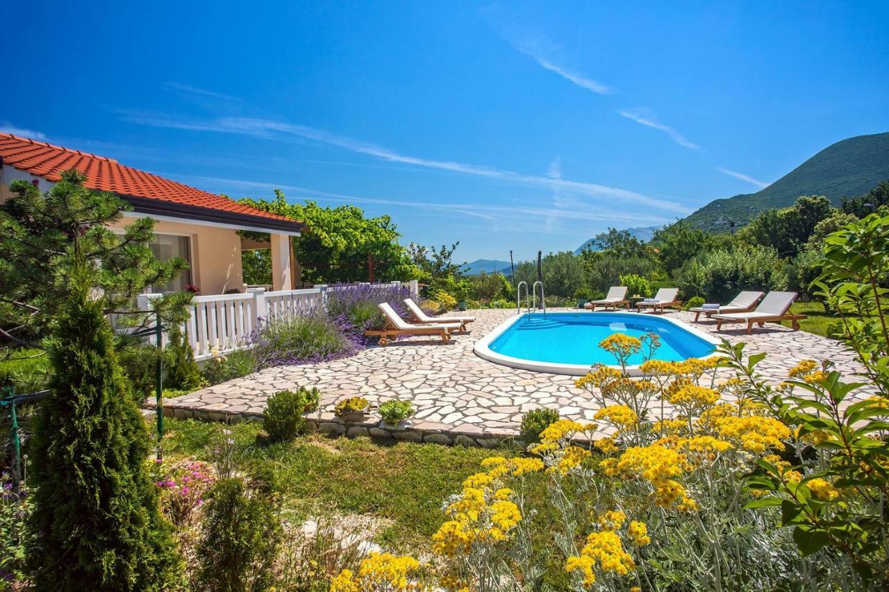 Villa Ana - 3 Bedroom Villa With Private Pool And Unspoiled Natural Environment Kučiće Kültér fotó